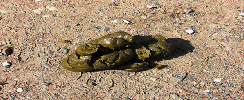 pile of manure, natural fertilizers